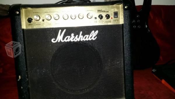 Amplificadores Marshall de 15 watts 2x1