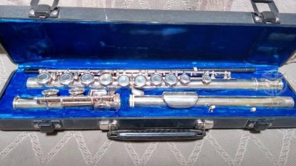 Clarinete y Flauta metálica transversal