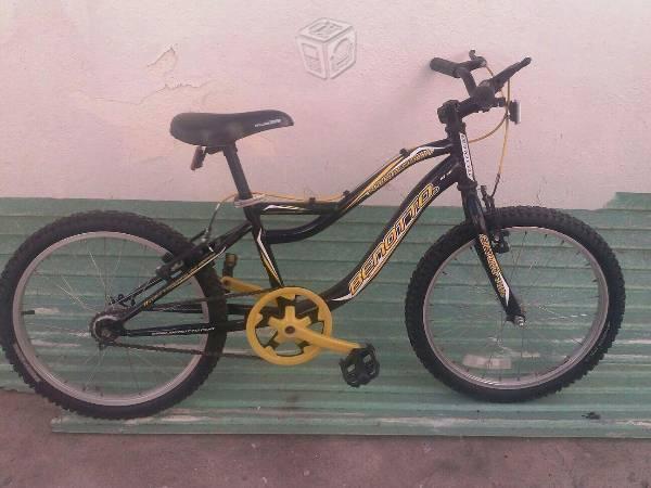 Bicicletas r20