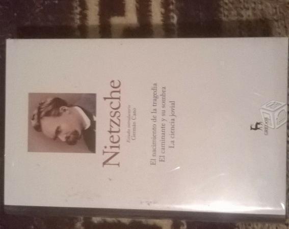 Nietzsche Colección grandes pensadores