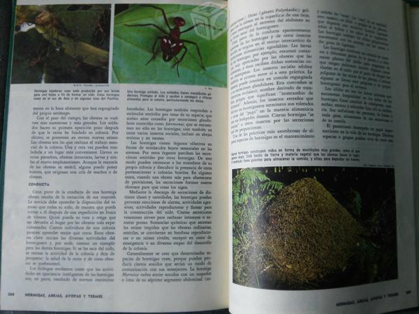 Enciclopedia de las ciencias