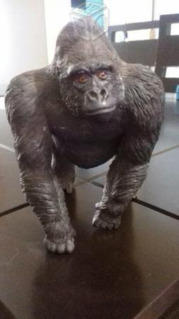 Gorila silverback