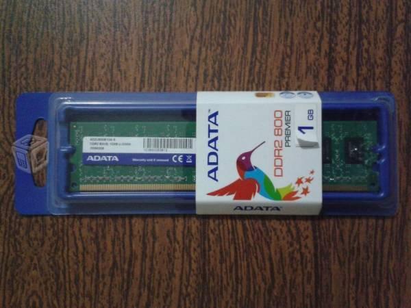 Memoria Ram 1GB PC2-6400 CL6 240-Pin DIMM (Nuevo)