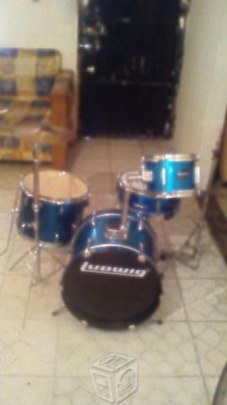 Ludwig junior