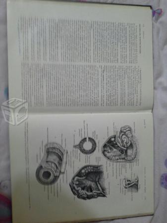 Anatomía clínica healey