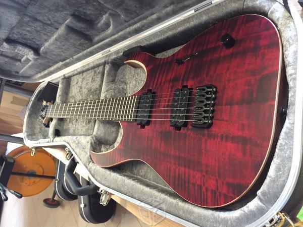 Mayones Duvell Standard 6