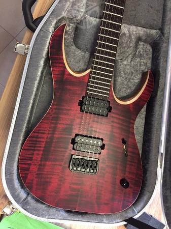 Mayones Duvell Standard 6