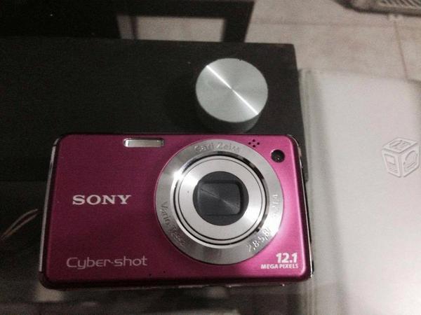 Sony CyberShot DSC-W220 12.1 megapixeles