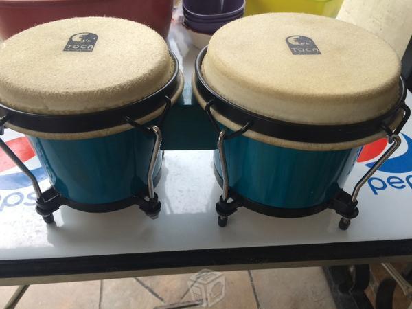 Bonitos bongos