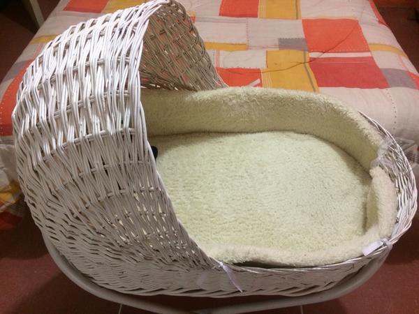 Moises blanco