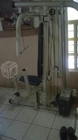 Gimnasio de varios ejercicios