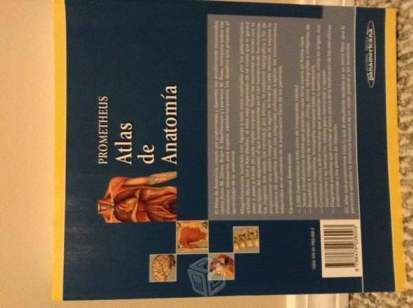 Atlas de Anatomía Prometheus