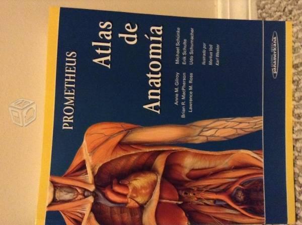 Atlas de Anatomía Prometheus