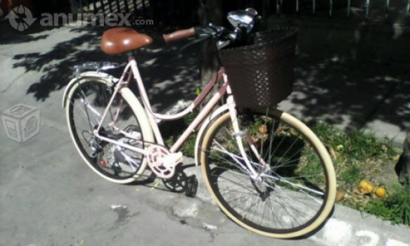 Bicicleta con Canasta