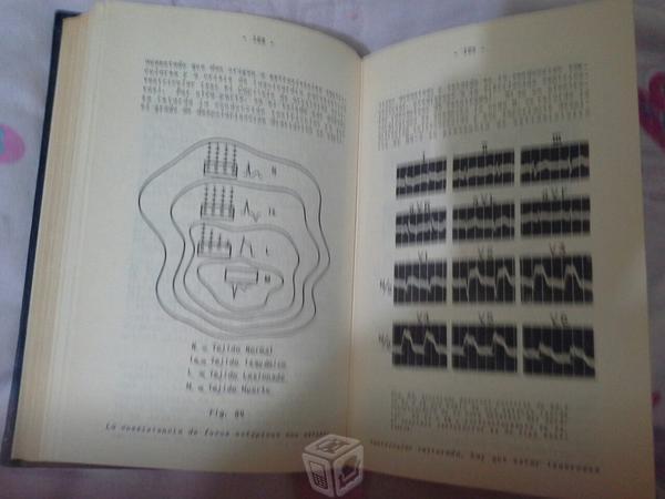 Electrocardiografia clínica