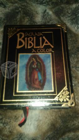 Sagrada biblia a a color