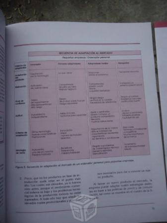 Director De Ventas El Management