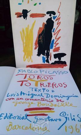 Libro de Picasso
