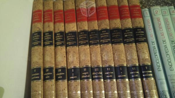 Diccionario de la Lengua Española RAE