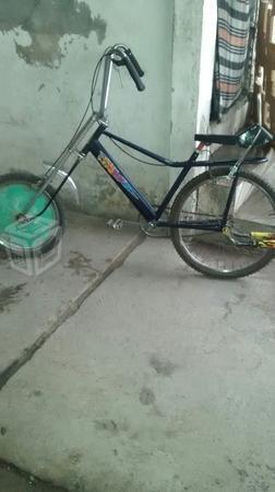 Bicicleta vagabundo