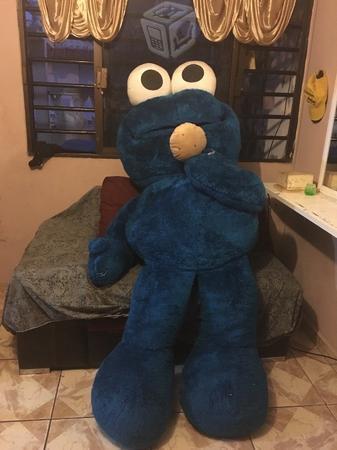 Oso de peluche