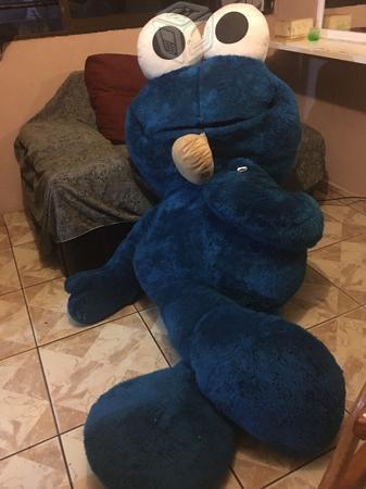 Oso de peluche