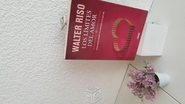 Libro Los limites del Amor
