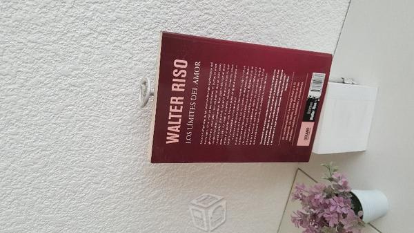 Los limites del amor