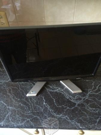 Monitor Acer 19 p