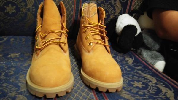 Botas Nuevas Timberland Kids