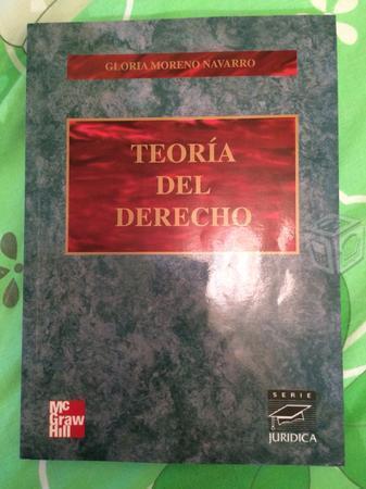 Libro Teoría del Derecho