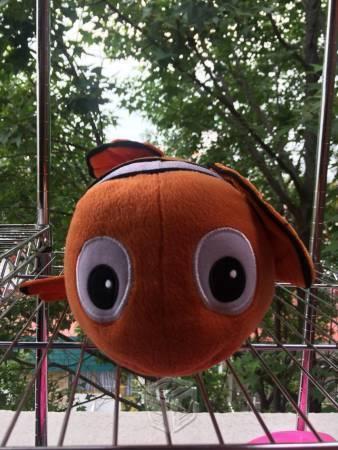 Nemo peluche