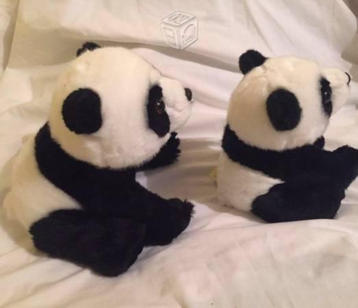 Panda / peluches / Aurora