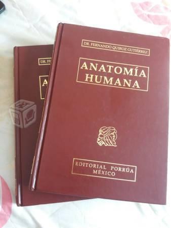 Anatomía quiroz BARATOS