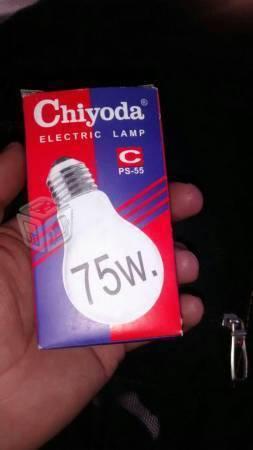 Foco incandescente 60w 75w y 100w