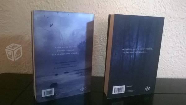 Oscuros, Lauren Kate