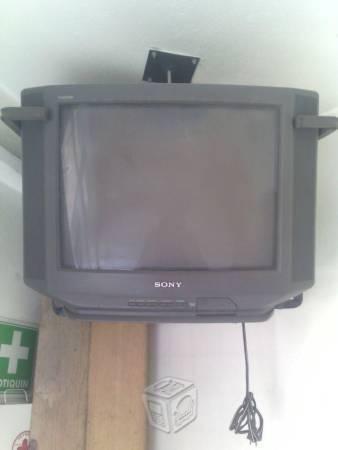 Televisión Sony 21
