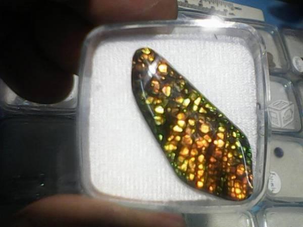Ammolita iridiscente 14mm ap (fossil) Canada