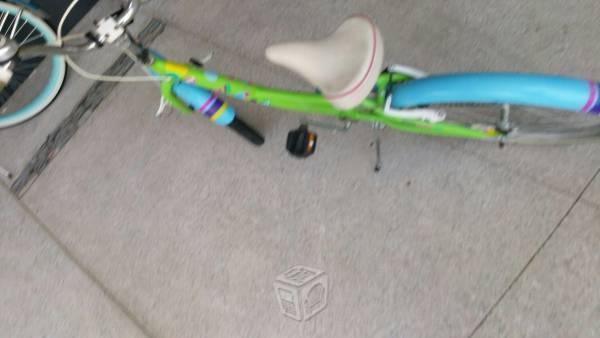 Bicicleta para Niña Rin20