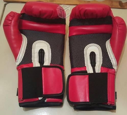 Guantes de box modelo Pro style EVERLAST