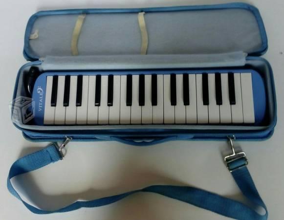 Melodica vitale, minimo uso