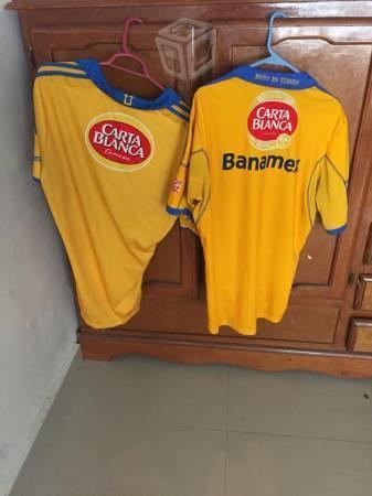 Jerseys tigres