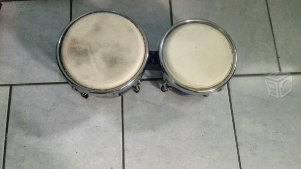 Bongos Infinity