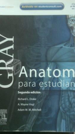 Gray anatomia