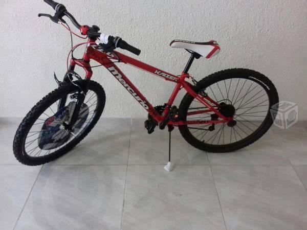 Bicicleta de montaña