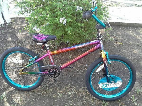 Bicicleta Fantasy R.20 (de colores)