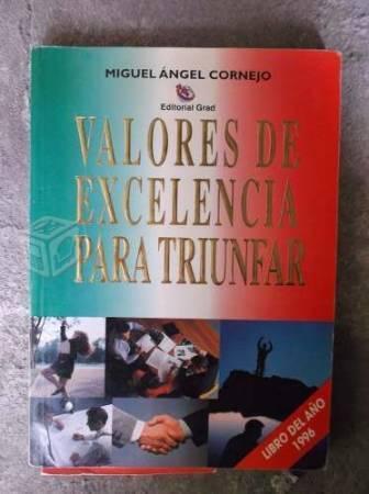 Miguel Angel COrnejo Valores De Excelencia Para