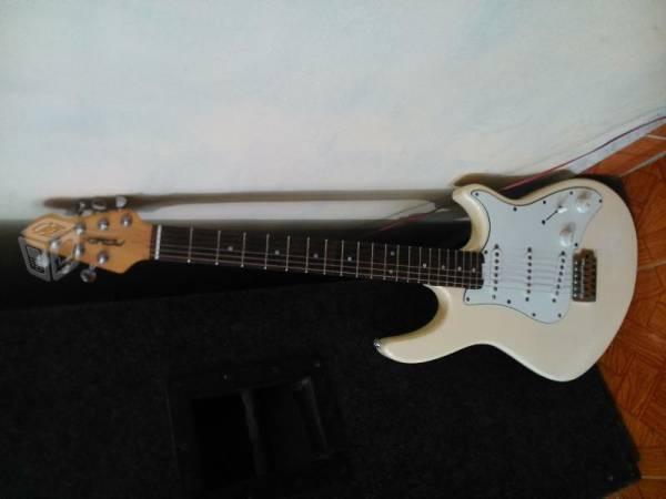 Guitarra Electrica Peavey Raptor Plus