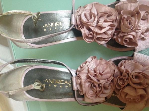 Zapatillas colección Andrea nuevas No. 23