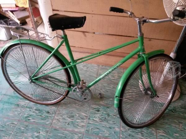 Bicicleta oldis